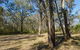 Scheyville Horse Riding Trails - thumb 1