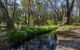 Scheyville Horse Riding Trails - thumb 2
