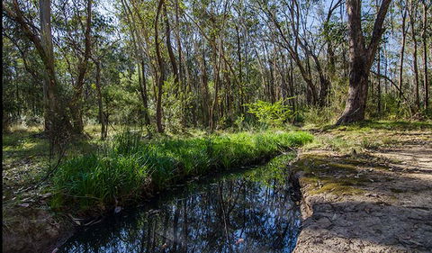 Scheyville Horse Riding Trails - Accommodation Perth 2