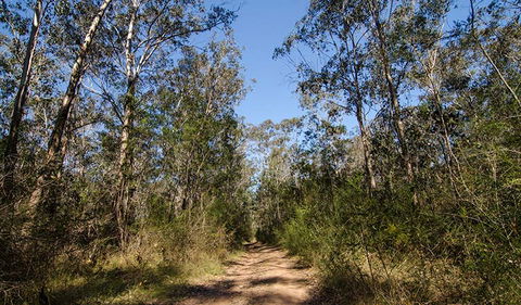 Scheyville Horse Riding Trails - Accommodation Perth 3