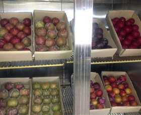 Canoelands Orchard - Accommodation Perth 1