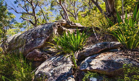 Canoelands Ridge Walking Track - Accommodation Perth 1