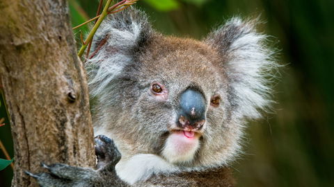 Brisbane Water National Park - Accommodation Perth 2