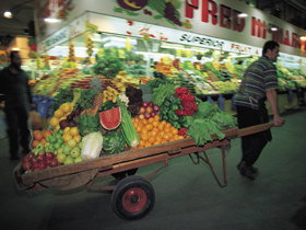 Gouger Street - Perth Resorts 3