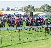 Morphettville Racecourse - Accommodation Perth