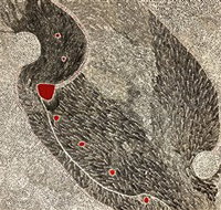 Marshall Arts - Perth Resorts