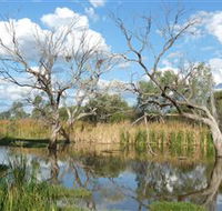 Lagoon Creek - Accommodation Perth