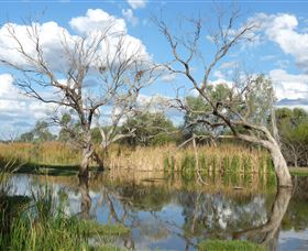 Lagoon Creek - Accommodation Perth 0