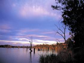 Loch Luna Game Reserve And Moorook Game Reserve - Accommodation Perth 0