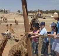Monarto Open Range Zoo - Accommodation Perth