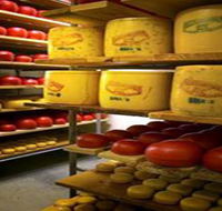 Alexandrina Cheese Company - Accommodation Perth