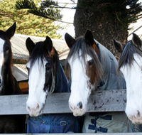 Victor Harbor Horse Drawn Tramway - Accommodation Perth