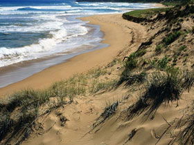Waitpinga SA Accommodation Perth