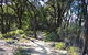 Junction Island Nature Reserve, Canoe Tree And Walking Track - thumb 2