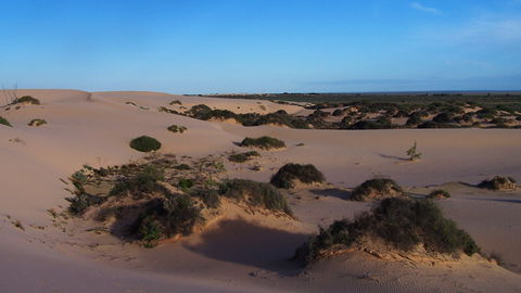 Mungo National Park - Accommodation Perth 2
