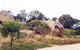Mount Boothby Conservation Park - thumb 1