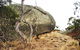Mount Boothby Conservation Park - thumb 2