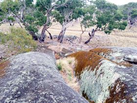 Tolmer Rocks - Accommodation Perth 1