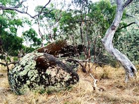 Tolmer Rocks - Accommodation Perth 2