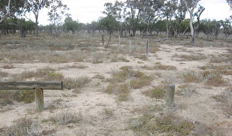 Weilmoringle NSW Accommodation Perth