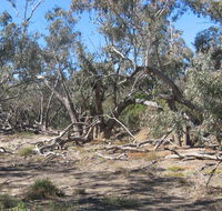 Mirri Mirru Yurun - Accommodation Perth
