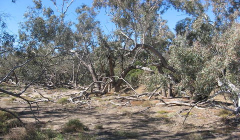 Mirri Mirru Yurun - Accommodation Perth 0