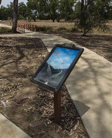 Wallam Creek, Bollon - Accommodation Perth 1