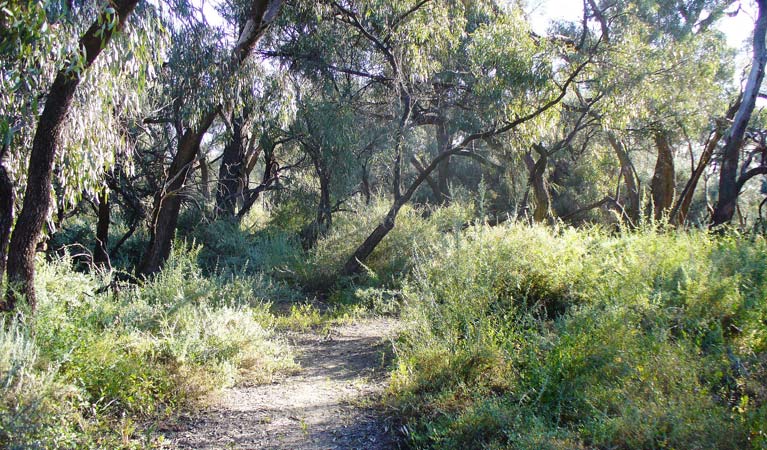 Monia Gap NSW Accommodation Perth