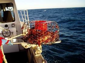 Lacepede Seafood - Accommodation Perth 1