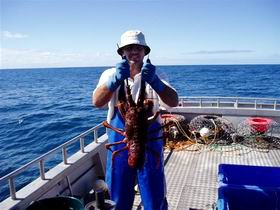 Lacepede Seafood - Accommodation Perth 2
