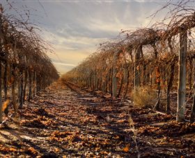 Andrew Peace Wines - Perth Resorts 2