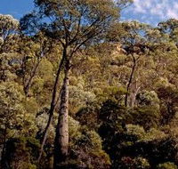 Ka Ka Mundi Carnarvon National Park - Accommodation Perth