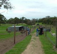 Avenue Emus - Accommodation Perth