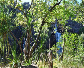 Manngarre Rainforest Walk - Accommodation Perth 1