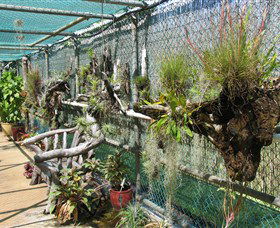 George Brown Darwin Botanic Gardens - Perth Resorts 5