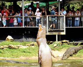 Crocodylus Park - Accommodation Perth 0