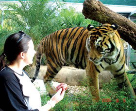 Crocodylus Park - Accommodation Perth 2