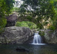 Paluma and Crystal Creek Rainforest - Accommodation Perth