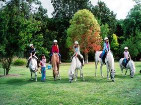 Limestone Coast Horseriding - Perth Resorts 0