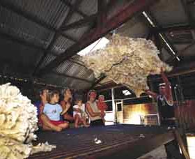 Shear Outback The Australian Shearers Hall Of Fame - Accommodation Perth 0