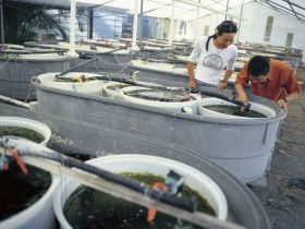 James Cook University Of North Queensland - Accommodation Perth 0