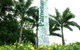 Townsville Palmetum - thumb 0