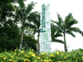 Townsville Palmetum - Accommodation Perth 0
