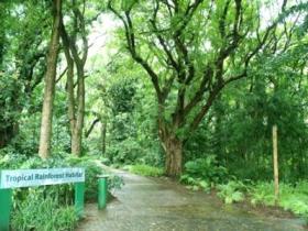 Townsville Palmetum - Accommodation Perth 1