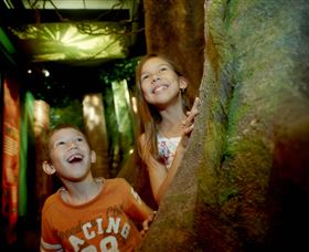Museum Of Tropical Queensland - Accommodation Perth 1