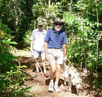 Wongabel State Forest - Accommodation Perth