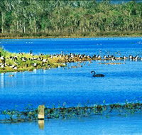 Hasties Swamp National Park - Accommodation Perth