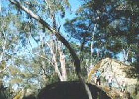 Dergholm VIC Accommodation Perth
