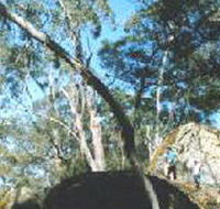 Dergholm State Park - Accommodation Perth