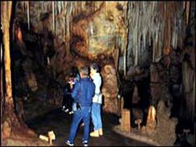 Tantanoola Caves Conservation Park - Accommodation Perth 0